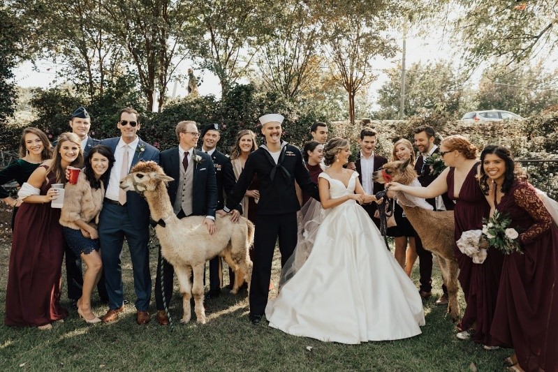 Llama-wedding-Private-Venue